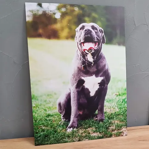 Opřít nebo zavěsit