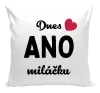 Polštář Dnes ANO miláčku