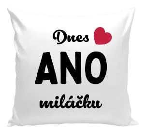 Polštář Dnes ANO miláčku