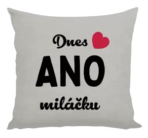 Polštář Dnes ANO miláčku