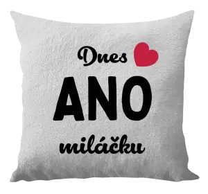 Polštář Dnes ANO miláčku