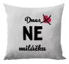 Polštář Dnes NE miláčku
