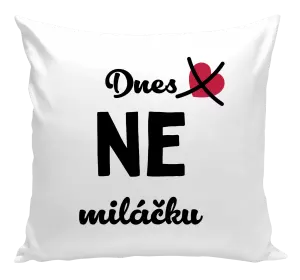 Polštář Dnes NE miláčku
