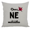 Polštář Dnes NE miláčku