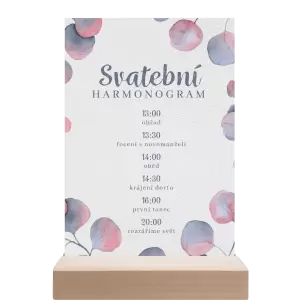 Papírový harmonogram DARA