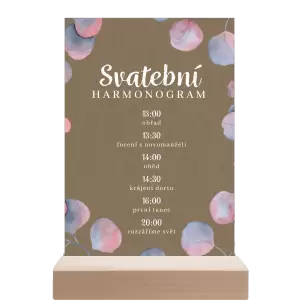 Papírový harmonogram DARA