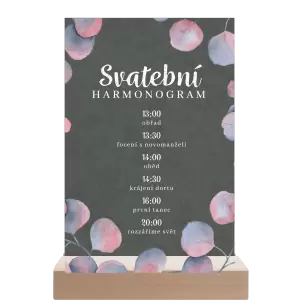 Papírový harmonogram DARA