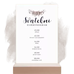 Plexi harmonogram EMA