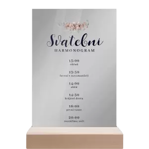 Plexi harmonogram EMA