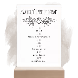 Plexi harmonogram ELENA