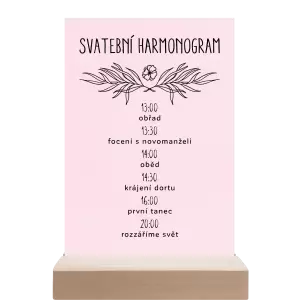 Papírový harmonogram ELENA