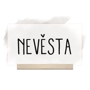 Plexi jmenovka ELENA