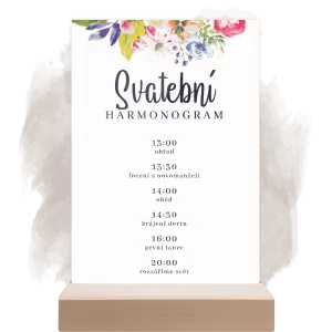 Plexi harmonogram ILONA