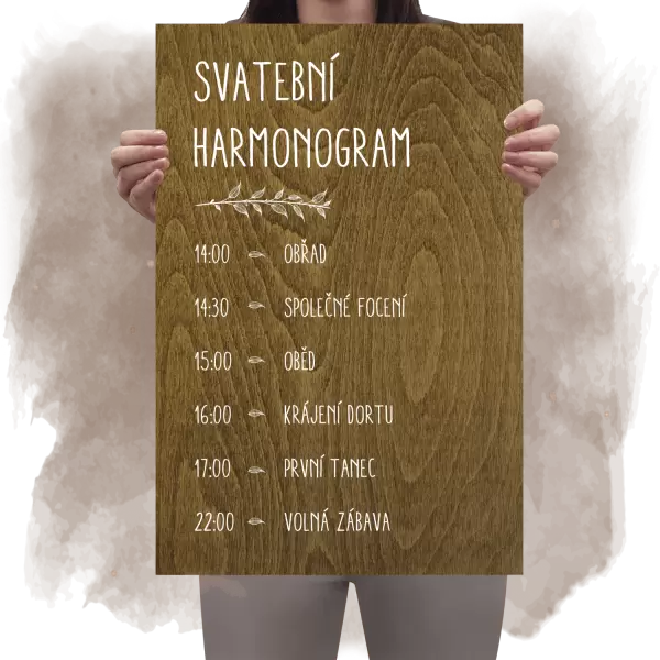 Překližkový harmonogram ELENA