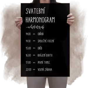 Plexi harmonogram ELENA