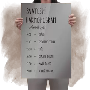 Plexi harmonogram ELENA