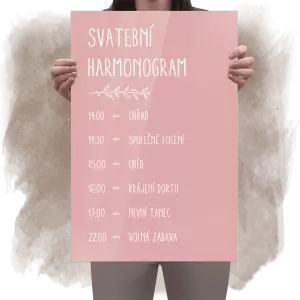 Plexi harmonogram ELENA