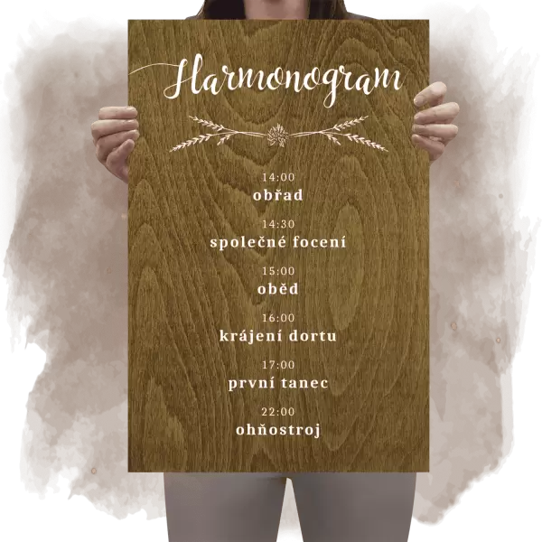 Překližkový harmonogram DANA