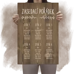 Zasedací pořádek ELENA