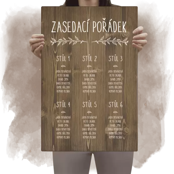 Zasedací pořádek ELENA