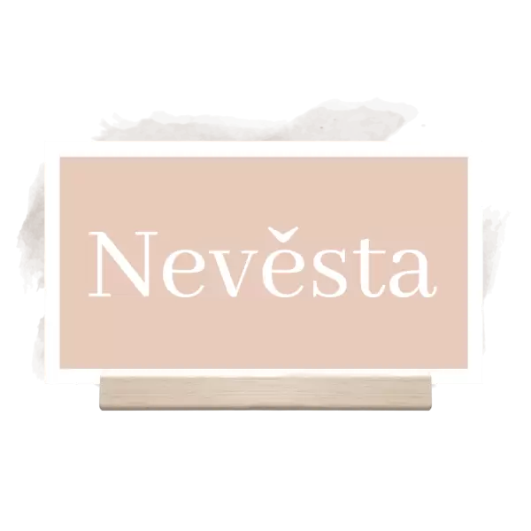 Papírová jmenovka LADA