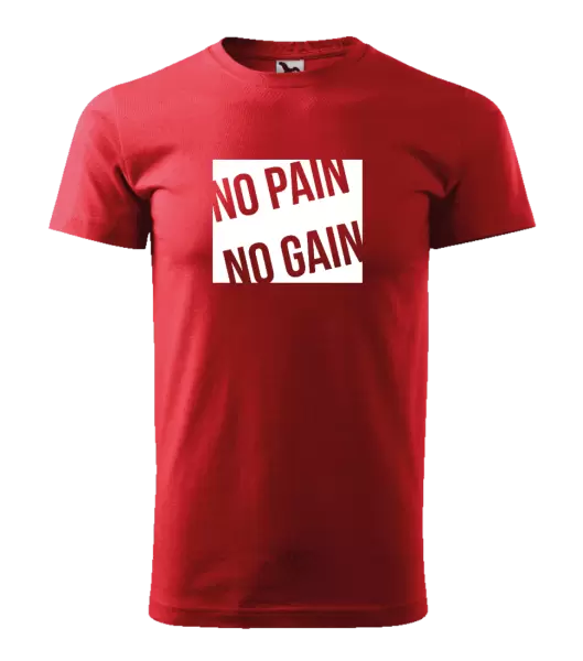 Pánské tričko No pain no gain