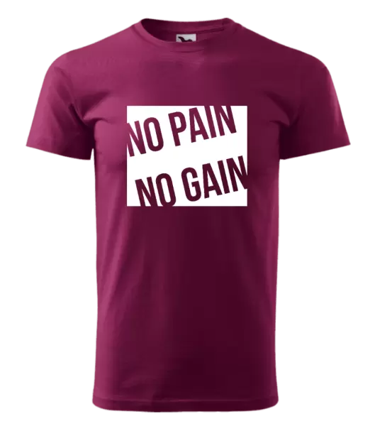 Pánské tričko No pain no gain