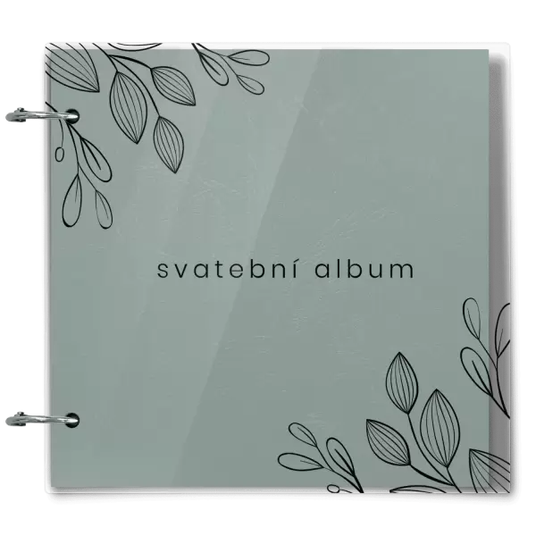 Plexi svatební album DARINA