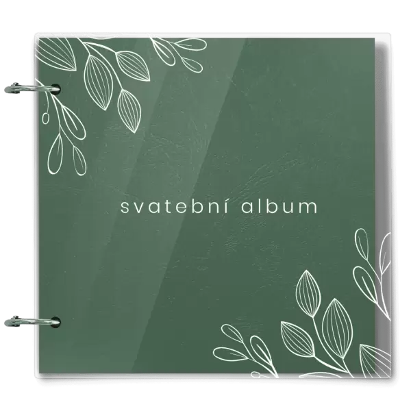 Plexi svatební album DARINA
