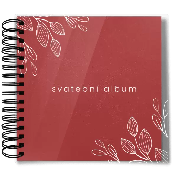 Plexi svatební album DARINA