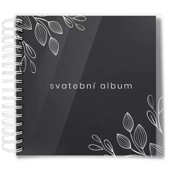 Plexi svatební album DARINA