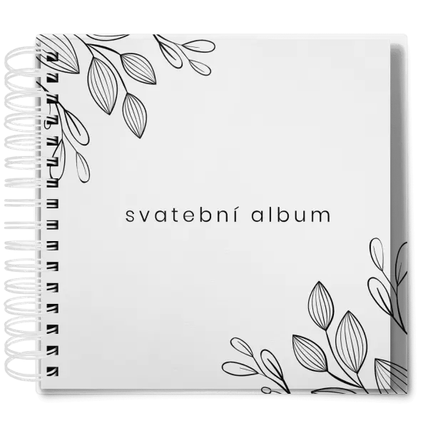 Plexi svatební album DARINA
