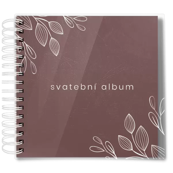 Plexi svatební album DARINA