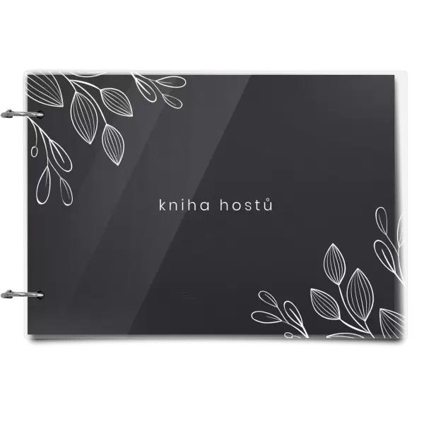 Plexi svatební album DARINA