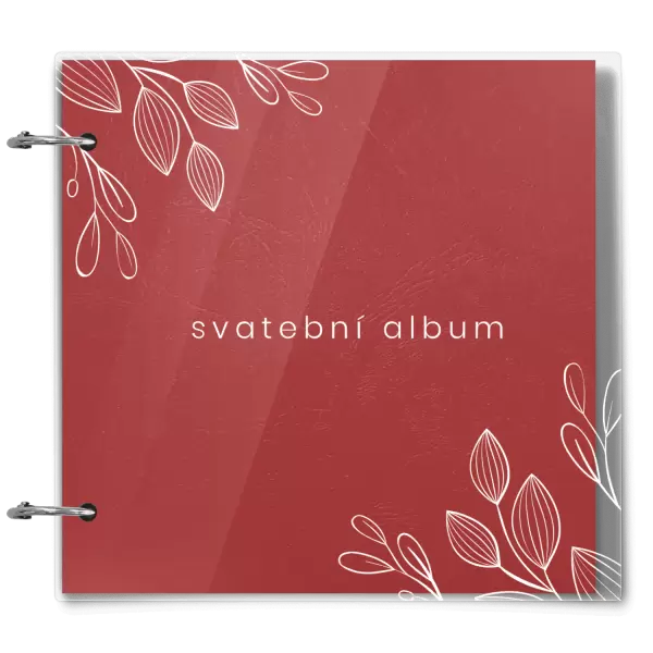 Plexi svatební album DARINA