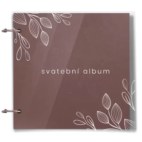 Plexi svatební album DARINA