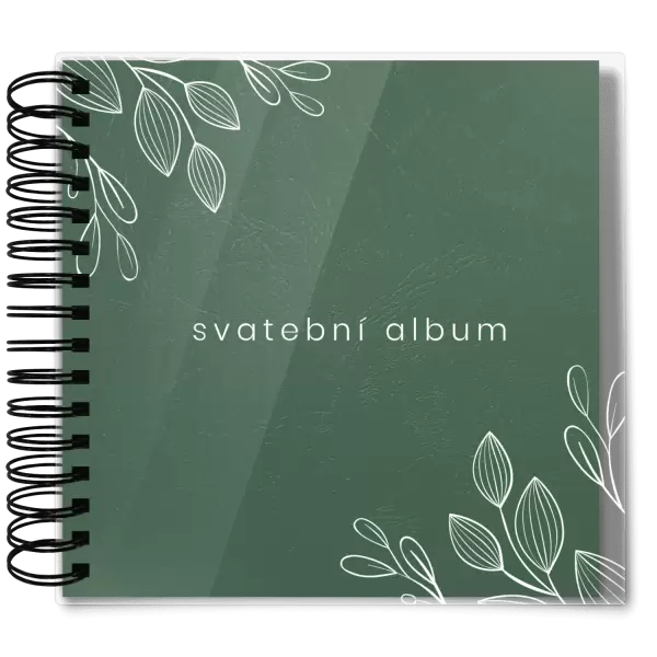 Plexi svatební album DARINA