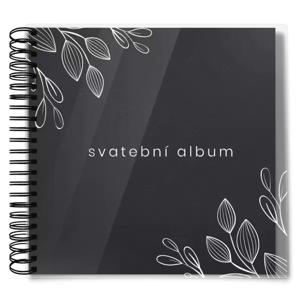 Plexi svatební album DARINA