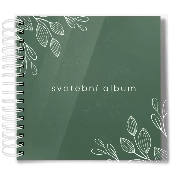 Plexi svatební album DARINA