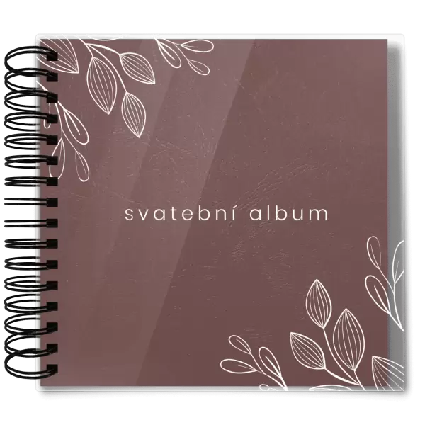 Plexi svatební album DARINA