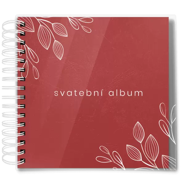Plexi svatební album DARINA