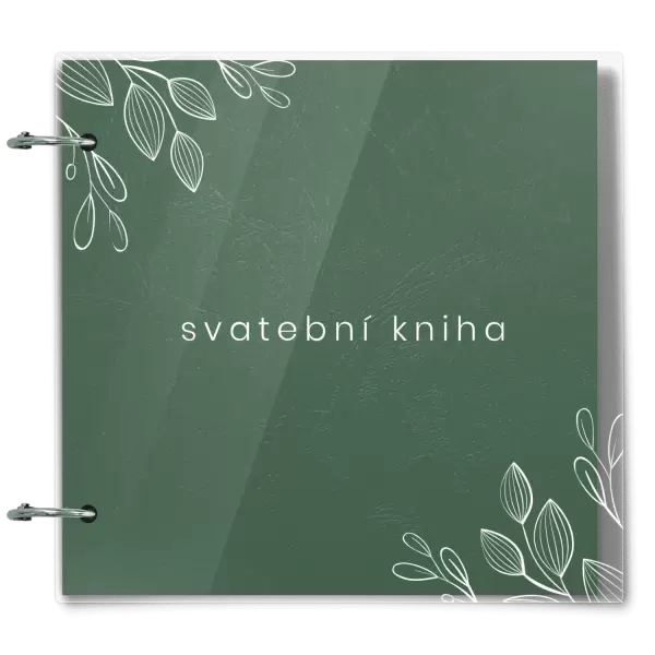 Plexi svatební album EMILIE