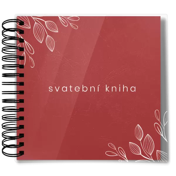 Plexi svatební album EMILIE