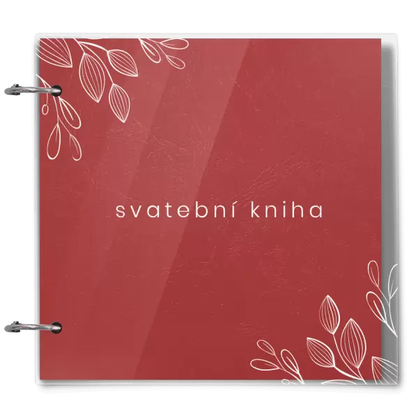 Plexi svatební album EMILIE