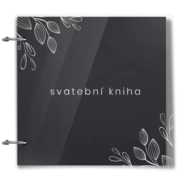 Plexi svatební album EMILIE