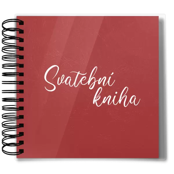 Plexi svatební album HEDVIKA