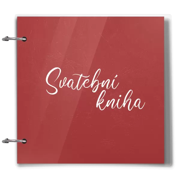 Plexi svatební album HEDVIKA