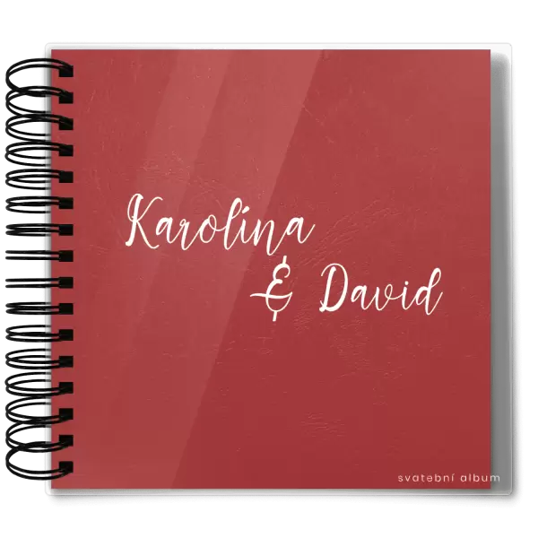 Plexi svatební album BARA
