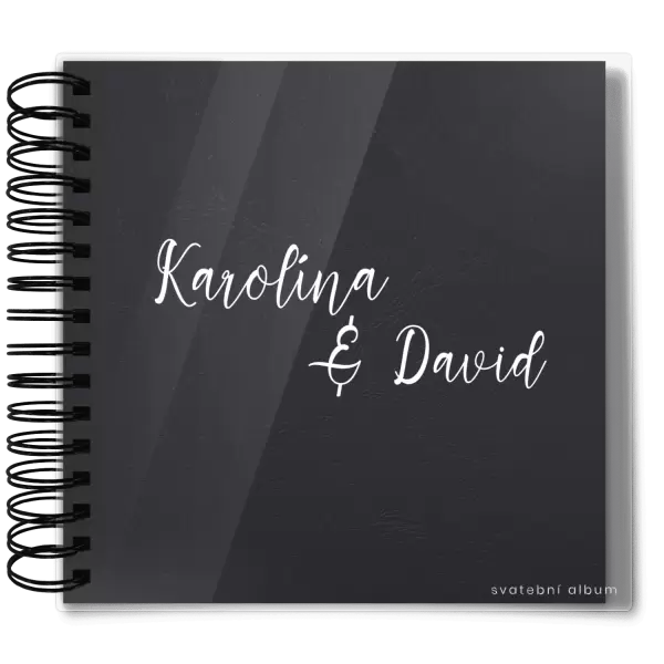 Plexi svatební album BARA