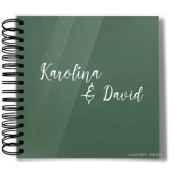 Plexi svatební album BARA